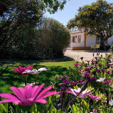Casas Das Amoreiras Aldeia do Meco Kültér fotó