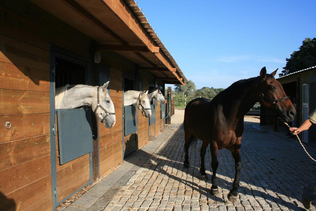 Casas Das Amoreiras Aldeia do Meco Kültér fotó